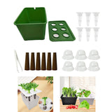 Maxbell Hydroponics Growing System Hydroponics Grower Kit for Hotel Parterre Balcony Green
