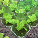 Maxbell Plant Protectors Garden Accessories Frost Freeze Protection Bell Jar Cloches 50 Pieces