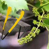Maxbell Grape Flower Thinning Clip Handhled Hand Farm Patio Vine Management