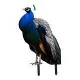 Maxbell 2D Flat Acrylic Peacock Sign Stake Waterproof Accessory Versatile Lawn Stake