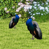 Maxbell 2D Flat Acrylic Peacock Sign Stake Waterproof Accessory Versatile Lawn Stake
