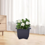 Maxbell Bonsai Pot Plants Growing Pot Flowerpot for Balcony Indoor Outdoor Courtyard M Square