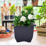 Maxbell Bonsai Pot Plants Growing Pot Flowerpot for Balcony Indoor Outdoor Courtyard M Square