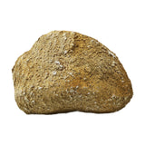 Maxbell Simulation Rock Resin Artificial Stone for Home Garden Decor Yard Decoration Yellow