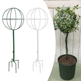 Maxbell Indoor Plant Trellis for Potted Plants for Indoor Outdoor Garden Accessories Green