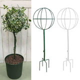 Maxbell Indoor Plant Trellis for Potted Plants for Indoor Outdoor Garden Accessories Green