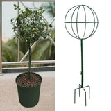 Maxbell Indoor Plant Trellis for Potted Plants for Indoor Outdoor Garden Accessories Green