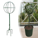 Maxbell Indoor Plant Trellis for Potted Plants for Indoor Outdoor Garden Accessories Green