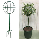 Maxbell Indoor Plant Trellis for Potted Plants for Indoor Outdoor Garden Accessories Green