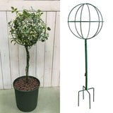 Maxbell Indoor Plant Trellis for Potted Plants for Indoor Outdoor Garden Accessories Green