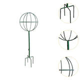 Maxbell Indoor Plant Trellis for Potted Plants for Indoor Outdoor Garden Accessories Green