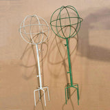Maxbell Indoor Plant Trellis for Potted Plants for Indoor Outdoor Garden Accessories Green
