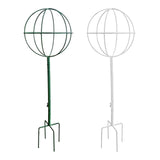 Maxbell Indoor Plant Trellis for Potted Plants for Indoor Outdoor Garden Accessories Green