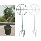 Maxbell Indoor Plant Trellis for Potted Plants for Indoor Outdoor Garden Accessories Green