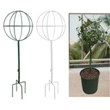 Maxbell Indoor Plant Trellis for Potted Plants for Indoor Outdoor Garden Accessories Green