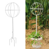 Maxbell Indoor Plant Trellis for Potted Plants for Indoor Outdoor Garden Accessories White