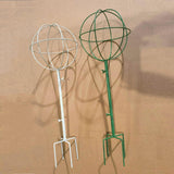Maxbell Indoor Plant Trellis for Potted Plants for Indoor Outdoor Garden Accessories White