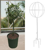 Maxbell Indoor Plant Trellis for Potted Plants for Indoor Outdoor Garden Accessories White