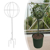 Maxbell Indoor Plant Trellis for Potted Plants for Indoor Outdoor Garden Accessories White