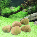 Maxbell 5Pcs Fake Rocks Diorama Faux Rocks for Yard Floral Arrangements Fairy Garden C