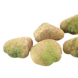 Maxbell 5Pcs Fake Rocks Diorama Faux Rocks for Yard Floral Arrangements Fairy Garden C