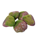 Maxbell 5Pcs Fake Rocks Diorama Faux Rocks for Yard Floral Arrangements Fairy Garden E