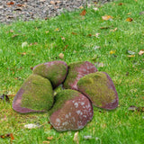 Maxbell 5Pcs Fake Rocks Diorama Faux Rocks for Yard Floral Arrangements Fairy Garden E