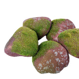 Maxbell 5Pcs Fake Rocks Diorama Faux Rocks for Yard Floral Arrangements Fairy Garden E
