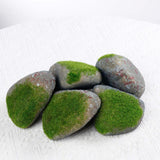 Maxbell 5Pcs Fake Rocks Diorama Faux Rocks for Yard Floral Arrangements Fairy Garden F