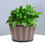 Maxbell Bucket Barrel Garden Planter Versatile Barrel Planter for House Desktop 10inch