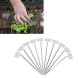 Maxbell 10x Plant Labels Garden Name Markers for Gardening Flowers Potted Vegetables