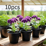 Maxbell 10x Plant Labels Garden Name Markers for Gardening Flowers Potted Vegetables
