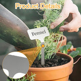 Maxbell 10x Plant Labels Garden Name Markers for Gardening Flowers Potted Vegetables