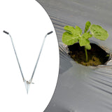 Maxbell Seedling Transplanter Bulb Transplanter for Planting for Greens Flowers Corn