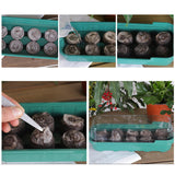Maxbell Seed Propagator Tray 10 Holes Windowsill Tray with Cover for Backyard Garden Green