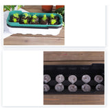 Maxbell Seed Propagator Tray 10 Holes Windowsill Tray with Cover for Backyard Garden Green