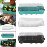 Maxbell Seed Propagator Tray 10 Holes Windowsill Tray with Cover for Backyard Garden Green