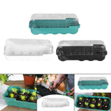 Maxbell Seed Propagator Tray 10 Holes Windowsill Tray with Cover for Backyard Garden Green
