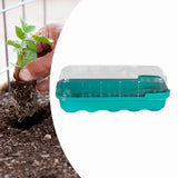 Maxbell Seed Propagator Tray 10 Holes Windowsill Tray with Cover for Backyard Garden Green