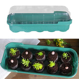 Maxbell Seed Propagator Tray 10 Holes Windowsill Tray with Cover for Backyard Garden Green