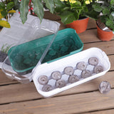 Maxbell Seed Propagator Tray 10 Holes Windowsill Tray with Cover for Backyard Garden Green