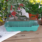 Maxbell Seed Propagator Tray 10 Holes Windowsill Tray with Cover for Backyard Garden Green