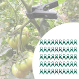 Maxbell 50 Pieces Plant Support Garden Clips Tool Fastening Clip for Tomatoes Flower green