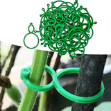 Maxbell 500Pcs Plant Clips Locks Fixing Support Clips for Outdoor Backyard Vegetable