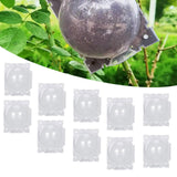 Maxbell 10x Plant Rooting Grow Boxes Tree Rooter for Household Garden Plants Outdoor