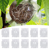 Maxbell 10x Plant Rooting Grow Boxes Tree Rooter for Household Garden Plants Outdoor