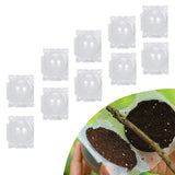 Maxbell 10x Plant Rooting Grow Boxes Tree Rooter for Household Garden Plants Outdoor