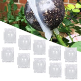 Maxbell 10x Plant Rooting Grow Boxes Tree Rooter for Household Garden Plants Outdoor
