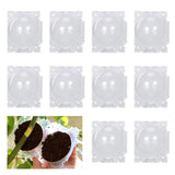 Maxbell 10x Plant Rooting Grow Boxes Tree Rooter for Household Garden Plants Outdoor