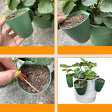 Maxbell Nursery Pot Planter Strawberry Roots Propagation Station for Planting Garden